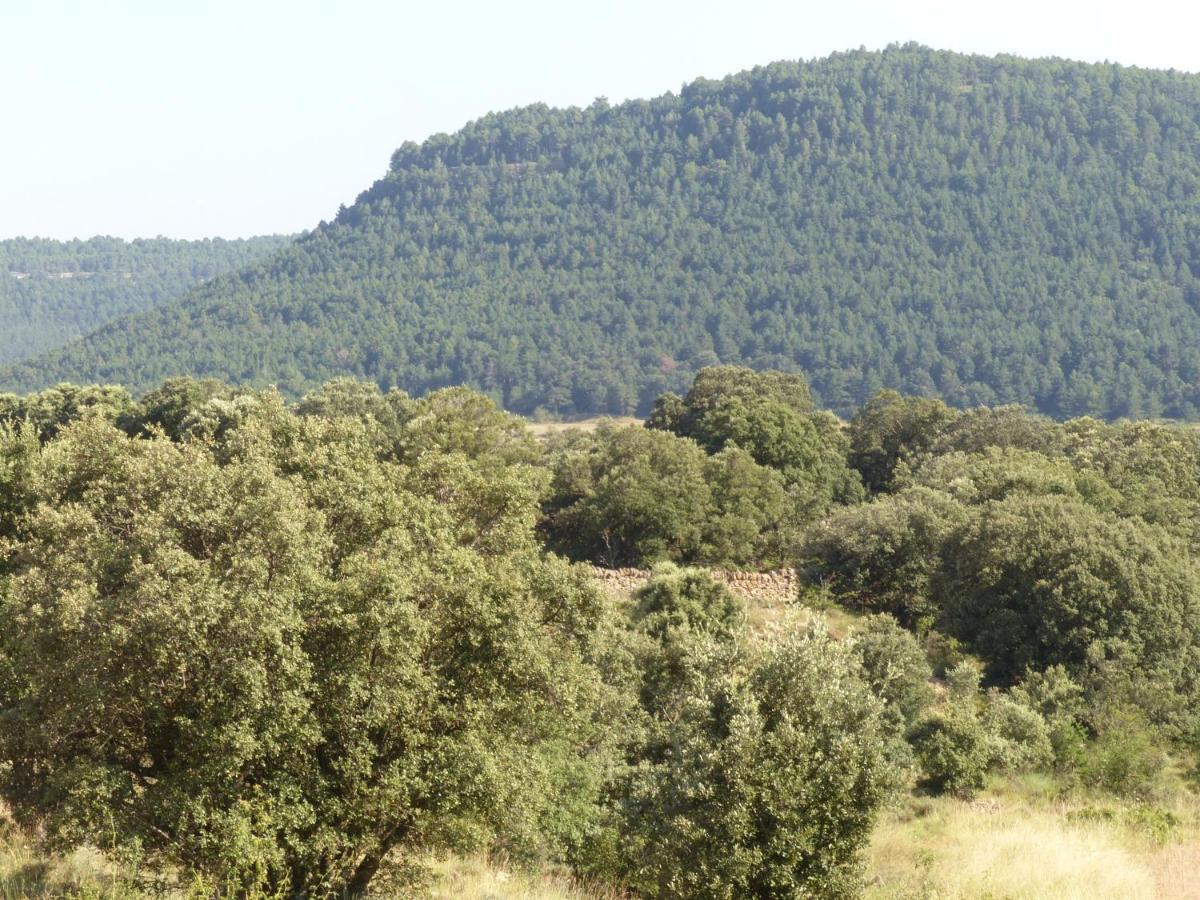 Molino Dolz Villa La Iglesuela del Cid Kültér fotó