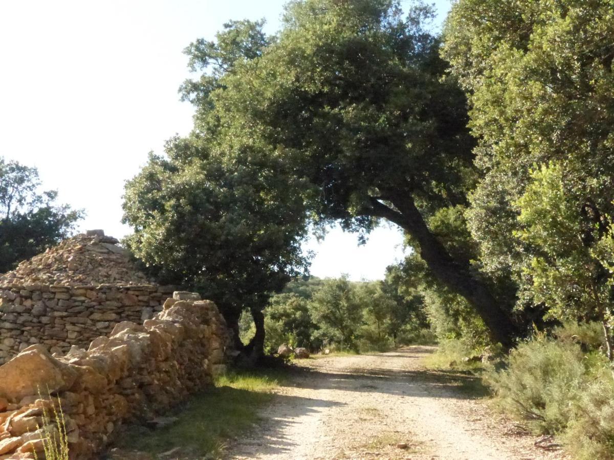 Molino Dolz Villa La Iglesuela del Cid Kültér fotó