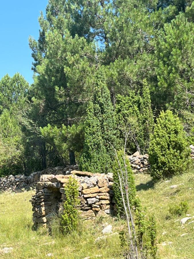 Molino Dolz Villa La Iglesuela del Cid Kültér fotó